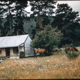 Unidentified Rural Home