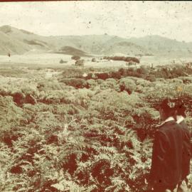 Distance View Te Whaiti Māori Boys Farm School