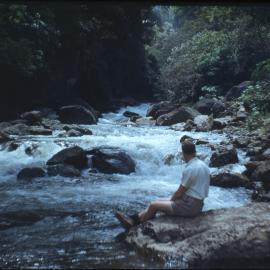 The Rapids at Te Urewera