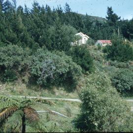 Waikaremoana Mission - Tuai