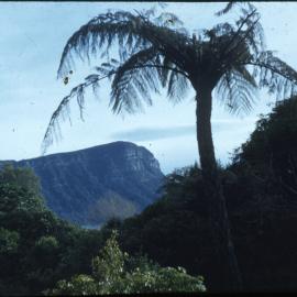 Panekiri Bluff on Lake Waikarimoana