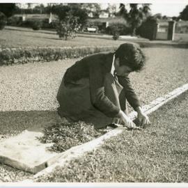 Spring Cleaning - Weeding the Walk