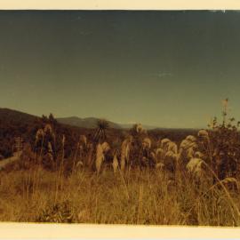 Unknown Scenic View