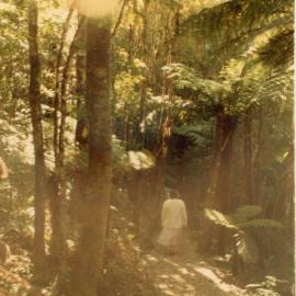 Walk In The Forest