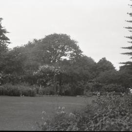 Large Unknown Garden and Park