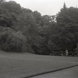Unknown Park