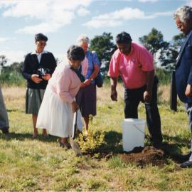 Planting A Tree