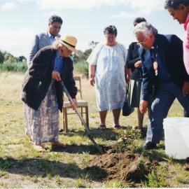 Tree Planting Event