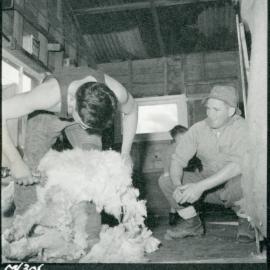 Te Whaiti Māori Boys Farm