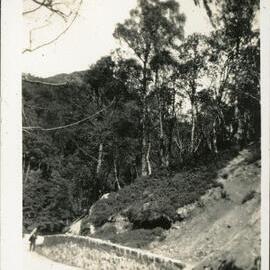 Road Along Side of Loch Katrine, Scotland