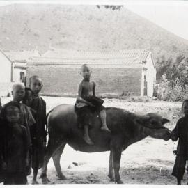 Eight Boys And a Buffalo