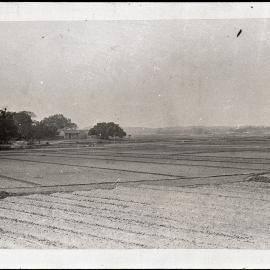 Canton Delta's Flat Agricultural Lands, China