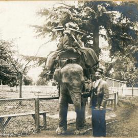 Elephant Ride