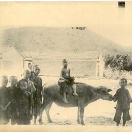 Chinese Children with Water Buffalo