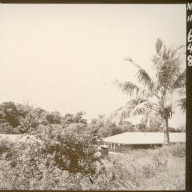 Vaemali hospital
