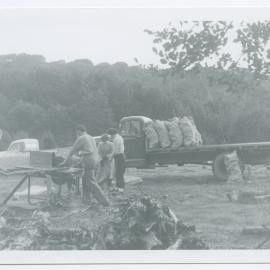 Cutting up wood for firewood