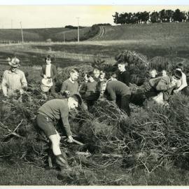 Busy Bee activities