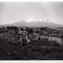 Horopito, looking east