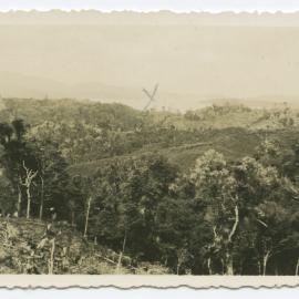 On the West-Coast Road at Hokianga