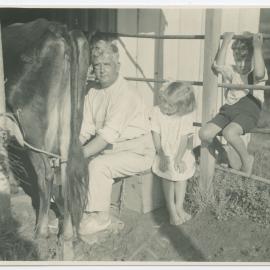 Milking Brownie, Whakapara, Jan 1936