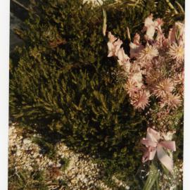 Flowers given to Doris McLean