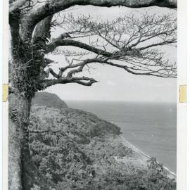 Tongoa Beach from house