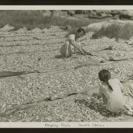 Drying Fish At Cheung Chau