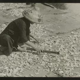 Drying Fish At Cheung Chau