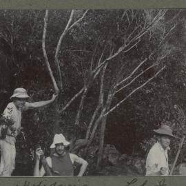 Holidaying On Loh Fau Mountain