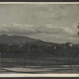 View From Fong Chuen Compound
