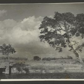 Rural Scene