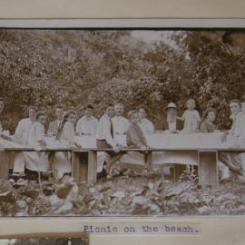 New Year's Picnic, Tongoa.