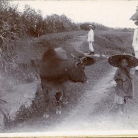 A Meeting on the Main Road of the District