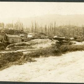 Upper Pa - Maungapohatu.