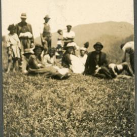 Unknown Group In A Field, Maungapohatu