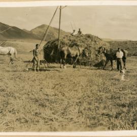 Stacking The Hay