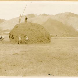 Stacking The Hay
