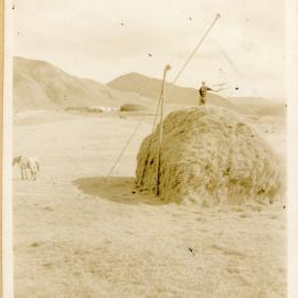 Stacking The Hay