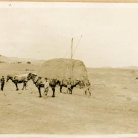 Stacking The Hay