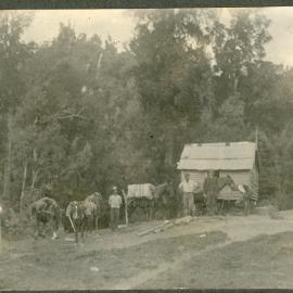 Getting Pack Horses Ready - Ruatahuna