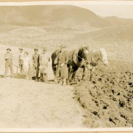 Planting Potatoes