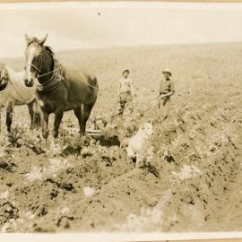 Moulding The Potatoes