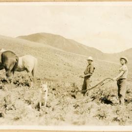 Another View Of The Potatoes