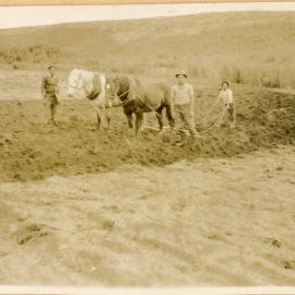 Planting Potatoes