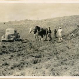 Lifting The Potatoes