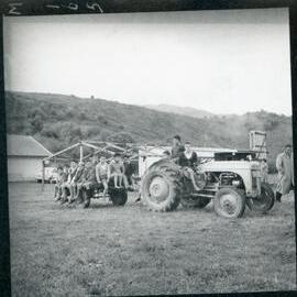 Māori Children On Tractor & Trailer