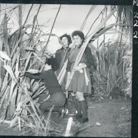 Turakina College