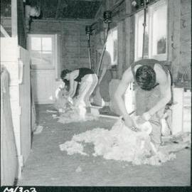 Te Whaiti Māori Boys Farm