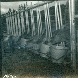 Te Whaiti Māori Boys Farm