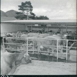 Te Whaiti Māori Boys Farm